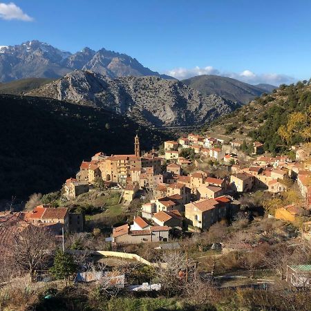 Charmant F2 Dans Joli Village Corse Omessa Eksteriør bilde