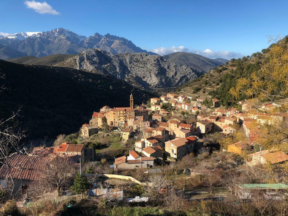Charmant F2 Dans Joli Village Corse Omessa Eksteriør bilde