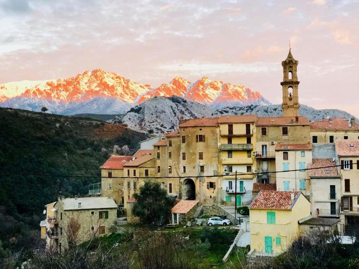 Charmant F2 Dans Joli Village Corse Omessa Eksteriør bilde